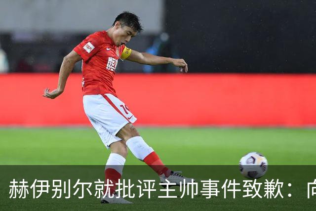 赫伊别尔就批评主帅事件致歉：向队友与教练表达歉意